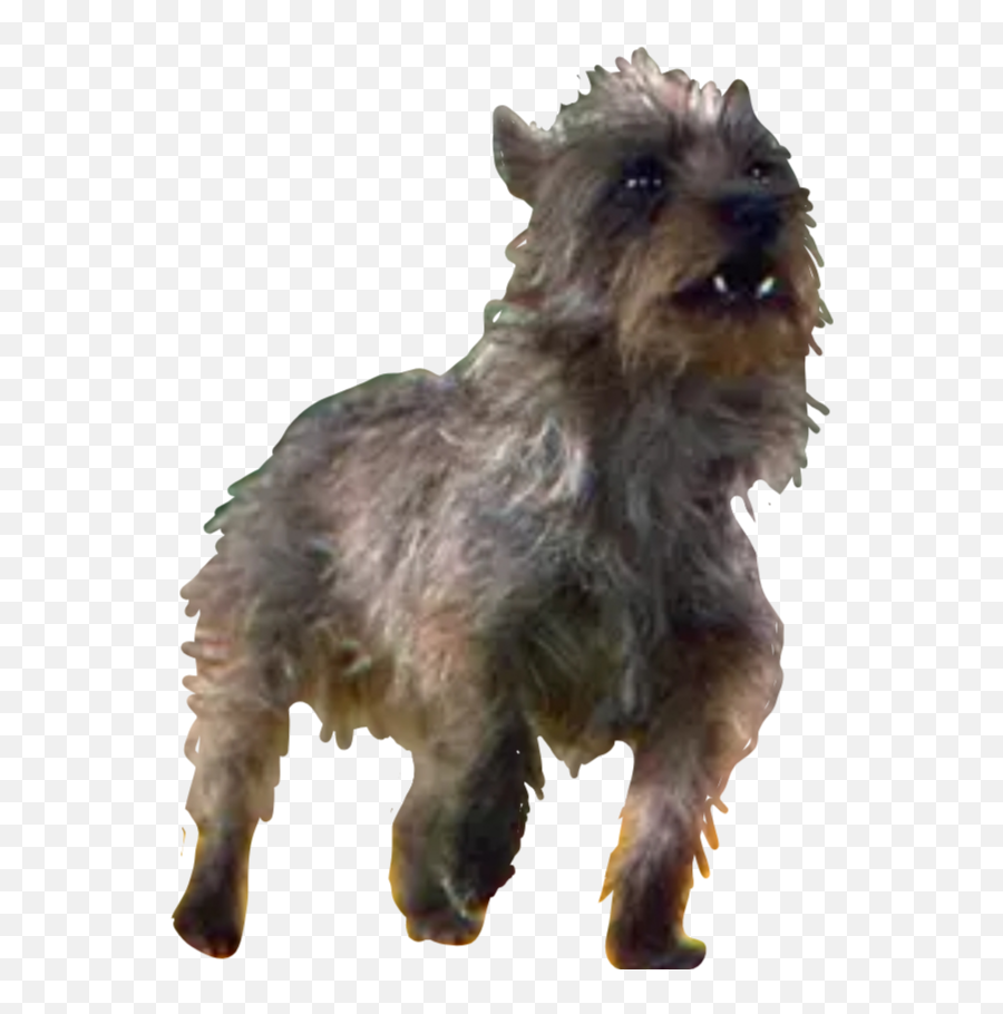 Toto Dog Thewizardofoz Sticker By Jb - Toto Mago Di Oz Emoji,Terrier Dog Emoji Png