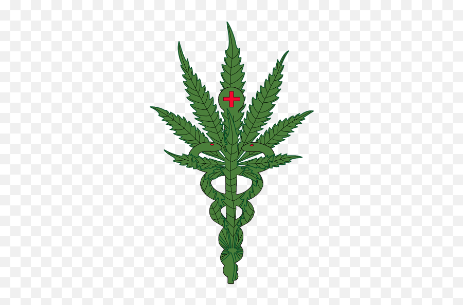 Medicinal Plants Plant Leaves Cactus - New York State Pot Leaf Emoji,Pot Weed Emoji