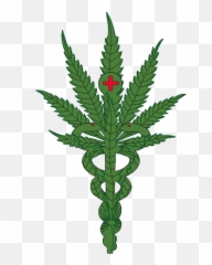 Medicinal Plants Plant Leaves Cactus - New York State Pot Leaf Emoji,Pot Weed Emoji