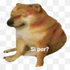 Salsa By Marinara - Sticker Maker For Whatsapp Emoji,Emoticon Muerte A La Manzanita