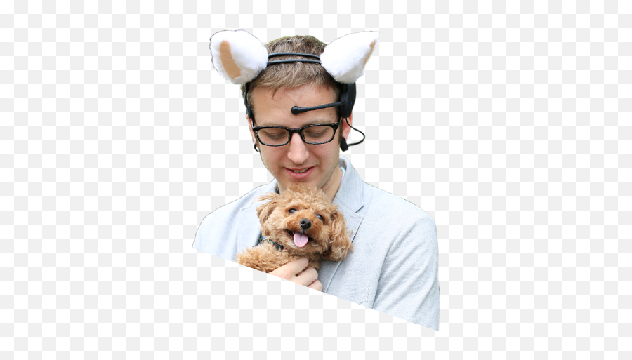 Brain Wave Cat Ears - Happy Emoji,Emotion Controlled Cat Ears