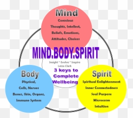 Mind Body Connection Car Tuning - St School Ware Emoji,Soul Mind Will Emotions