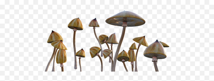 Pin - Mushroom Emoji,Emoticon Malato