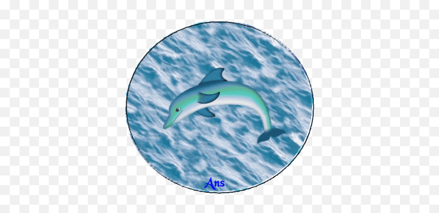 Top Bottlenose Dolphin Stickers For Android U0026 Ios Gfycat - Marjan Gifs Emoji,Dolphin Emoji
