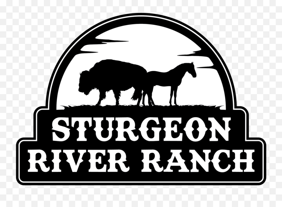 Horseback Riding U2014 Ranch Blog U2014 Sturgeon River Ranch Emoji,Emotions Of Winston Churchill