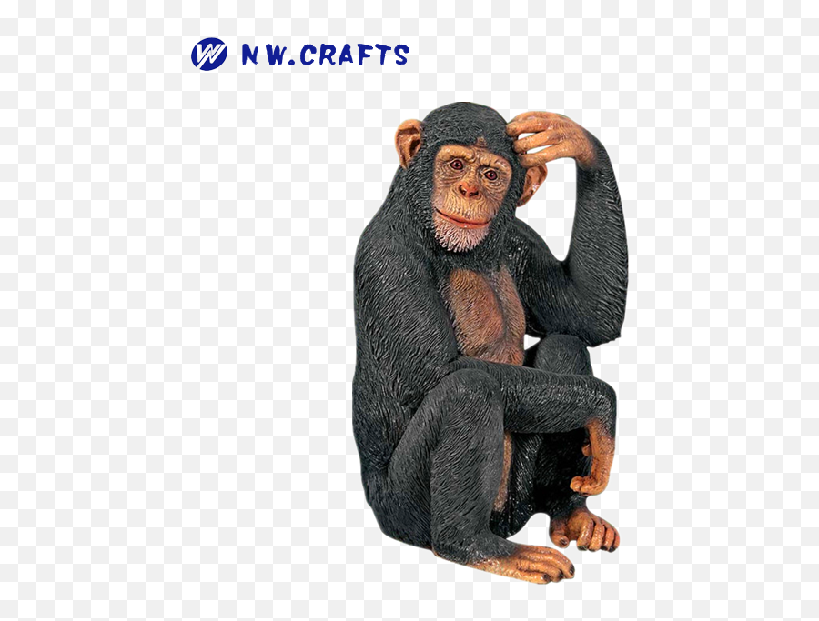 Animal Estatueta Estátua De Macaco Zoo - Monkey Scratching Head Emoji,Emoticon Coçar O Saco