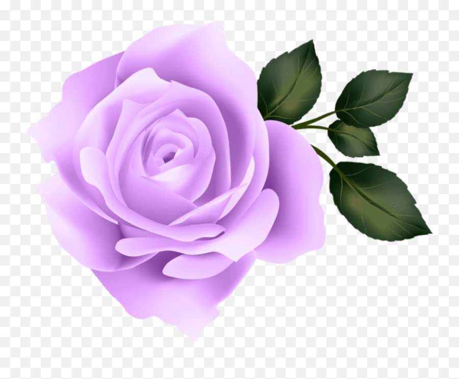Simple Creative Stylish Watercolor - Transparent Background Purple Rose Clipart Emoji,Violet Flower Emoji