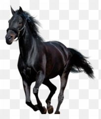 The Most Edited Oldtownroad Picsart Emoji,Hand Horses Emoji