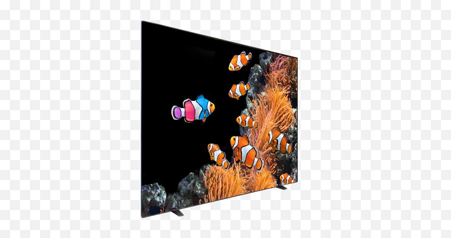 What Is Oled All About Oled Emoji,Anemone Emotions