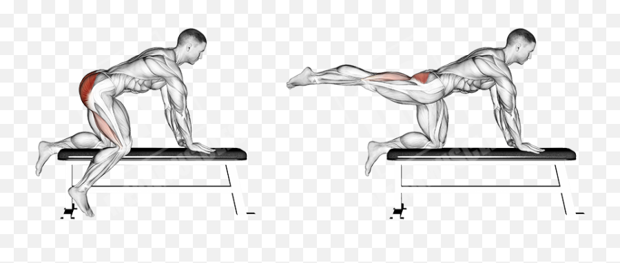 Uni - Lateral Focused Glute Workout Meanmuscles Emoji,Glutes Emotions