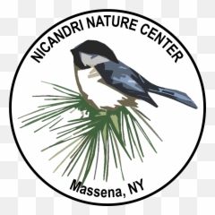 Welcome To The Nature Center Emoji,Nature& Emotions
