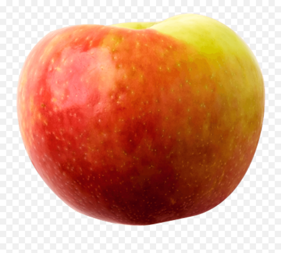 Organic Honeycrisp Apple Hungryroot Emoji,Fridge Emoji