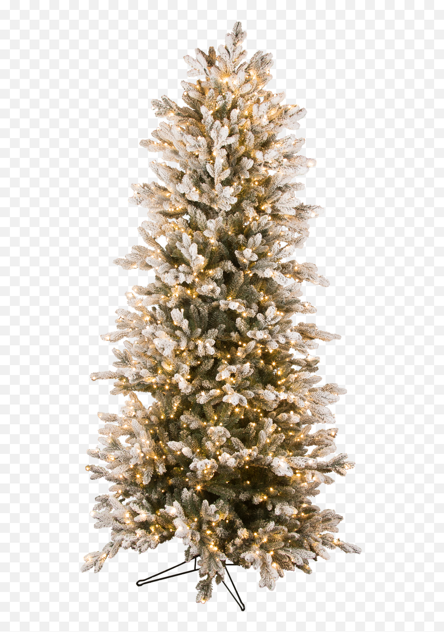 Trees N Trends Trees N Trends - Indoor Christmas Tree Farm Emoji,Snowy Tree Emoji