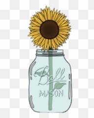 Sunflower Decal Sunflower Sunflower - Clip Art Sunflower In Mason Jar Emoji,Mason Jar Emoji