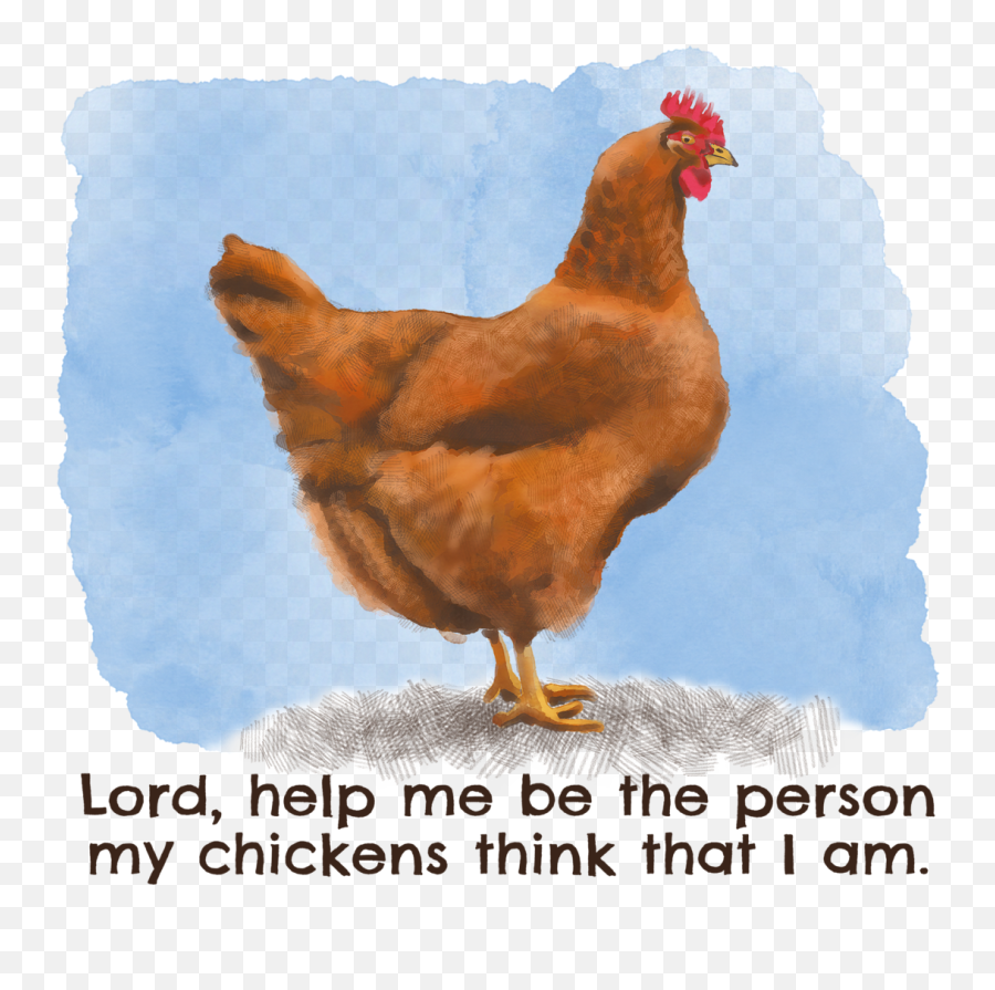 Rhode Island Red Chickens Chicken Art - Photo Caption Emoji,Chicken Emotions