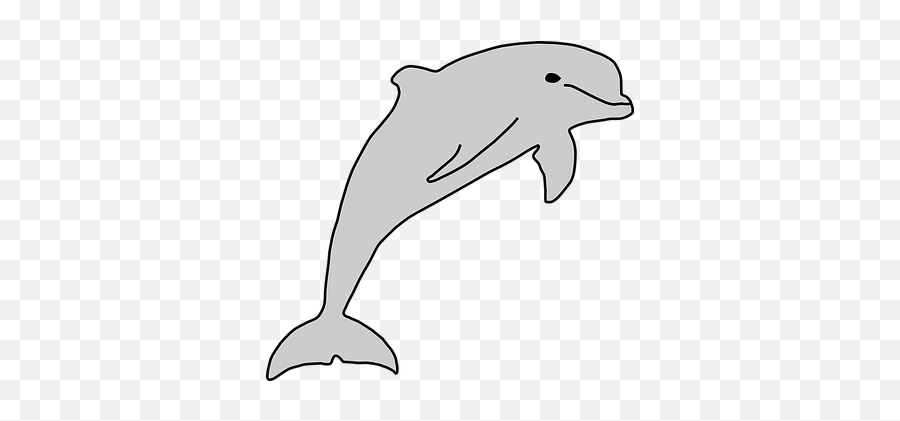 70 Free Dolphin U0026 Mammal Vectors - Pixabay Delfín Clipart Emoji,Dolphin Emoji