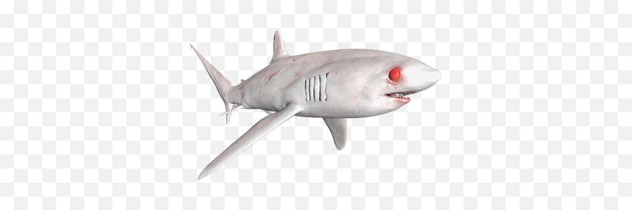 Listings For Thresher - Great White Shark Emoji,Shark Emoticon Depth