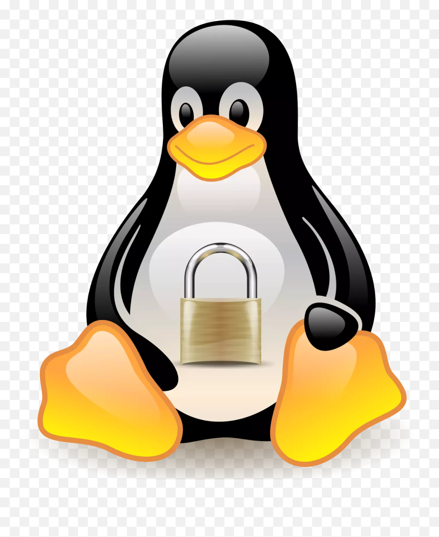 Solucionan Una Vulnerabilidad Grave En El Kernel Linux Que - Définition Système D Exploitation Emoji,Emojis Candado Png