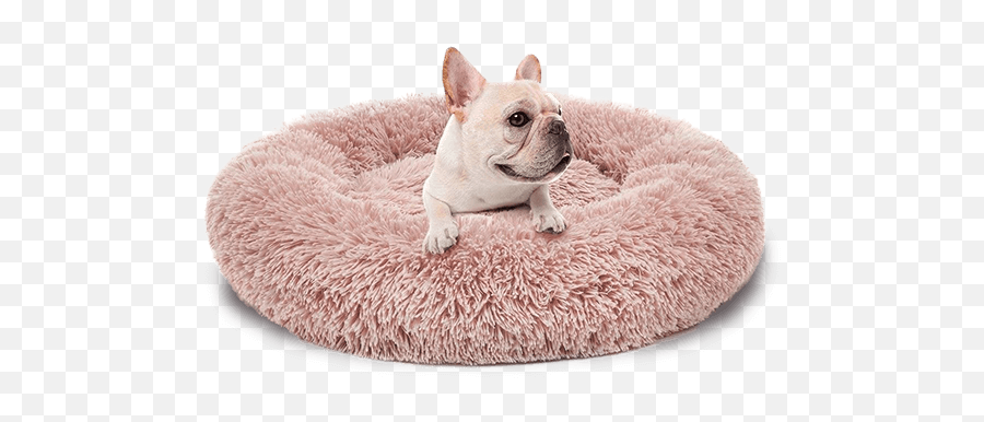 Catu0026dog U2013 Pet Supplies - French Bulldog In Fur Bed Emoji,Cat Emotions Vs Dogs