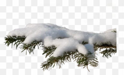 Telegram Sticker From Newyearwithangel Pack Emoji,Snowy Tree Emoji