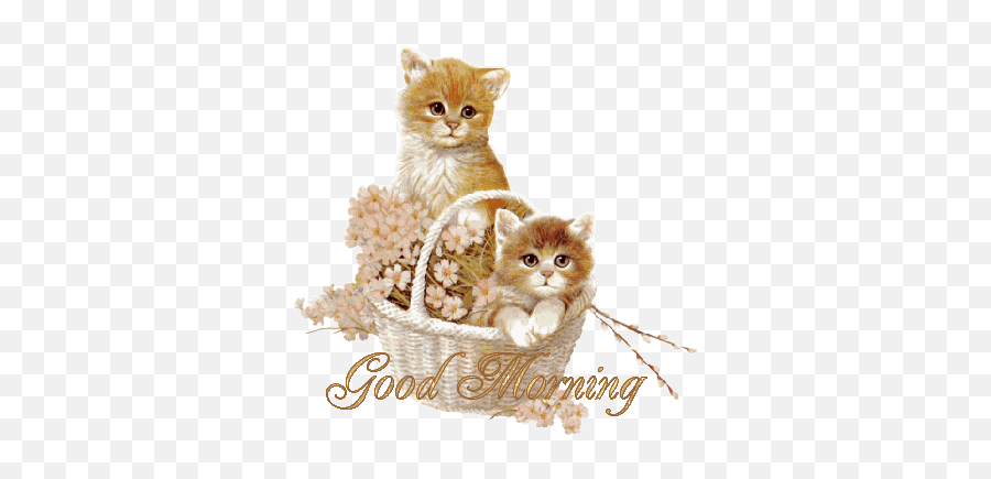 Good Morning With Cute Sun - Desicommentscom Good Morning Cat Stickers Emoji,Animated Good Morning Emoticons