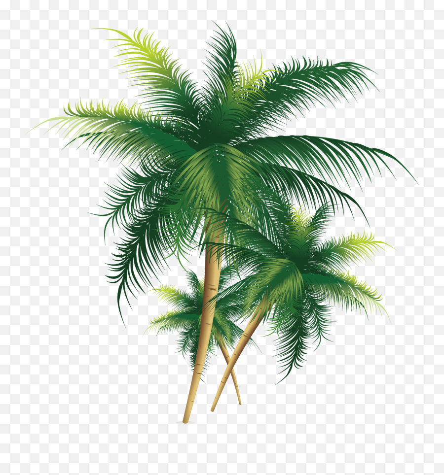 Download Coconut Tree Exquisite Free Hd Image Clipart Png - Transparent Coconut Trees Png Emoji,Palm Tree Emoticon