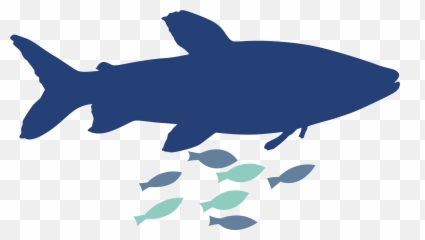 Emotions In Fish - What Is Missing For Proper Welfare Fish Welfare Emoji,Two Dimensions Of Emotion