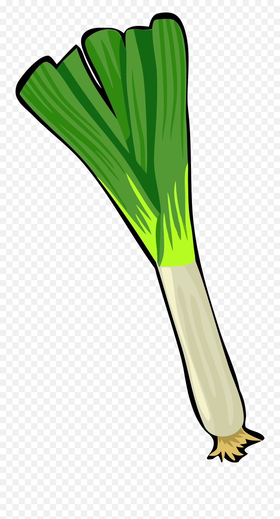Spring Onion Clipart - Green Onion Emoji Png,Onion Emoji