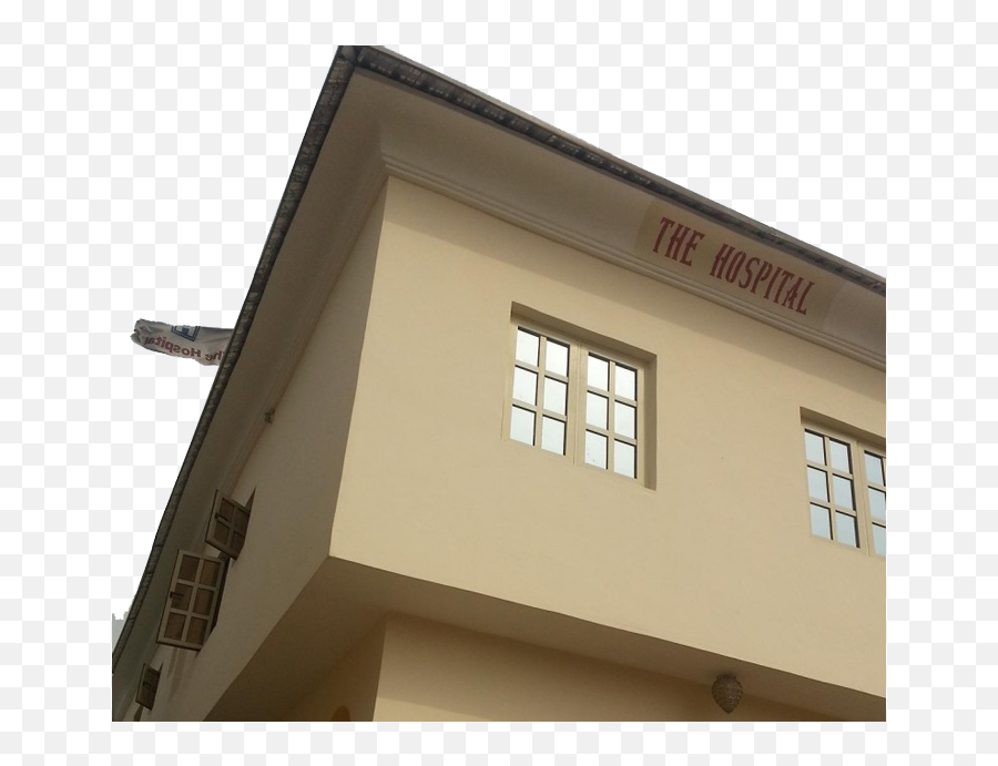 Our Company Our Business The Hospital - Sash Window Emoji,Hosbital Emoji