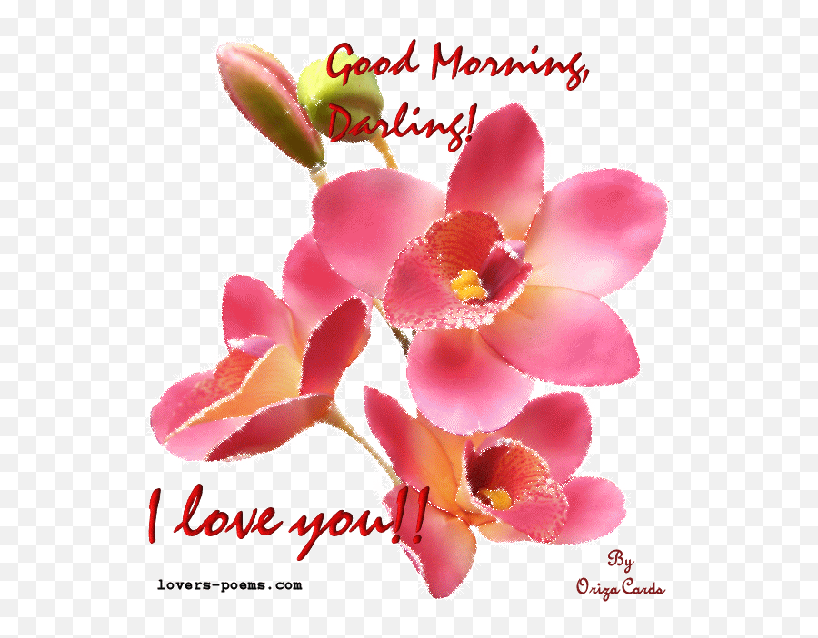Good Morning Darling Oriza Net Portal Lovers Poems Com Art - Romantic Good Morning Husband Emoji,Good Morning Emoji Art