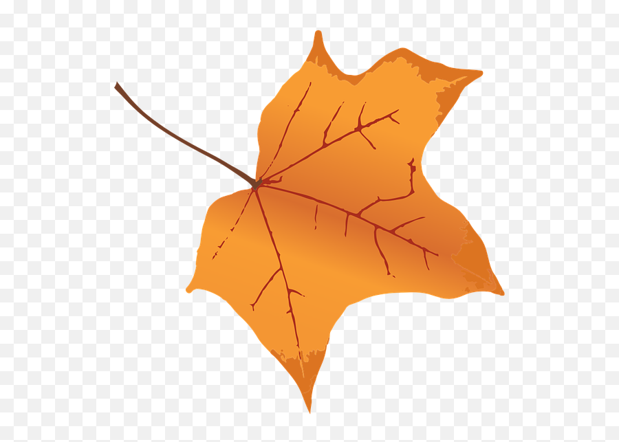 The Most Edited - Clip Art Orange Fall Leaf Emoji,Free Red Maple Leaf Emoji