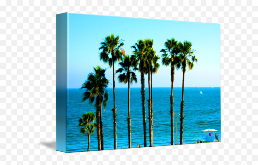 Long Beach - California Ocean Palm Trees By William Cuccio Emoji,Palm Tree Beach Emoji