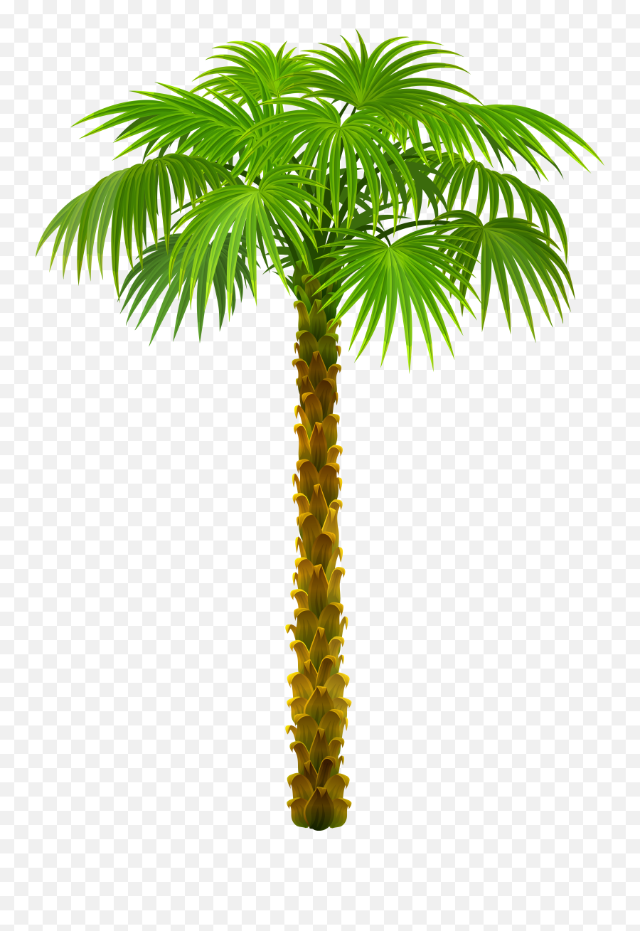 Plant Clipart Beach Plant Beach Emoji,Palm Tree Cocktail Emoji
