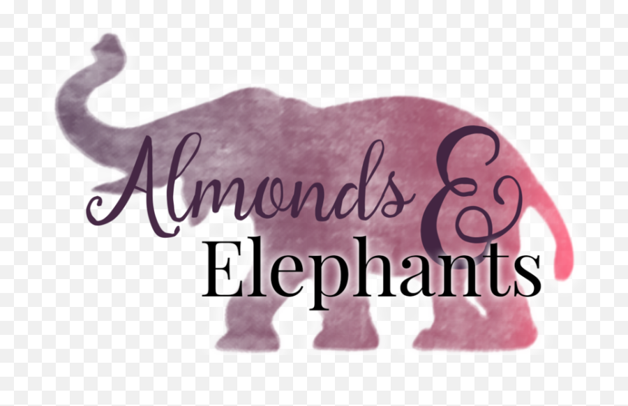 Bad Daddy Trump U2014 Almonds U0026 Elephants Emoji,Elepahnt Model Emotion