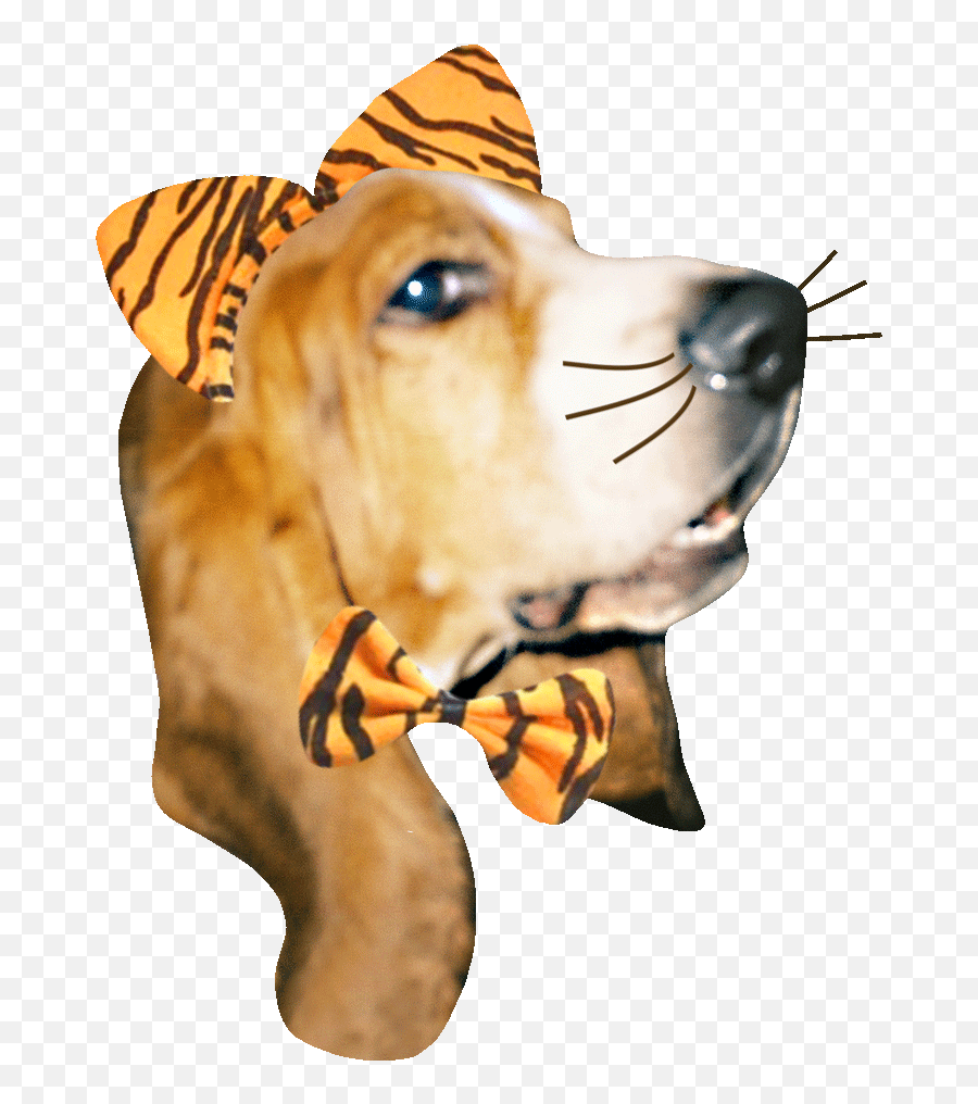 Dog Thief Animation Dogs Gif Emoji,Basset Hound Emoji