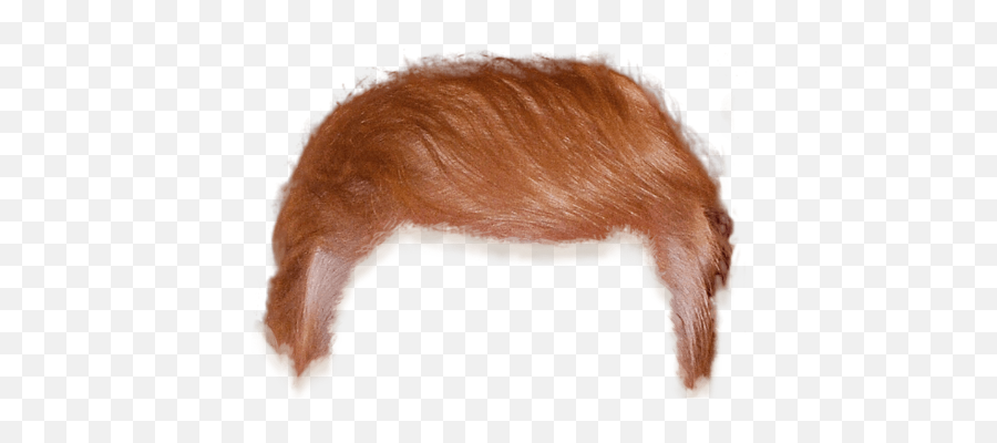 Trump Your Hair - Dog Hair Png Emoji,Trump Hair Emoji