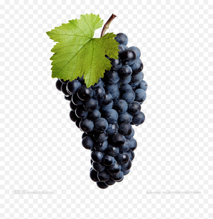 Black Grapes Transparent Image Png Arts - Grapes For Skin Emoji,Grapes Emoji Transparent