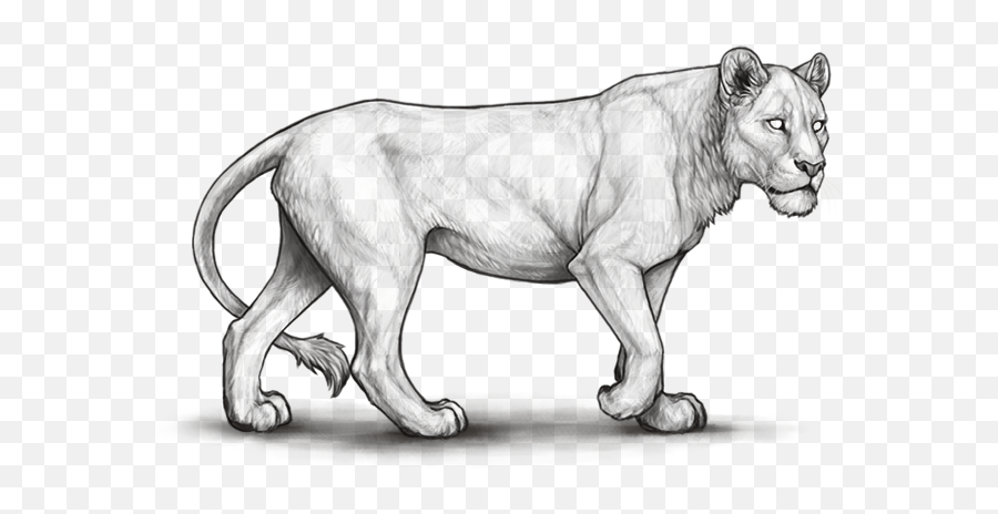 Lion Page Lioden - Transparent Lioden Base Emoji,How To Draw A Lion Emoji