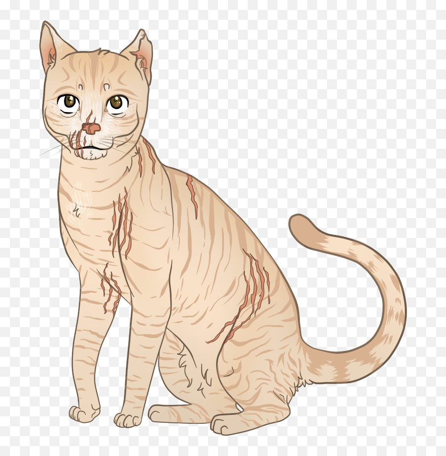 Sumau0027s Inactive Deceased Characters - Domestic Cat Emoji,Warrior Cats Emotions