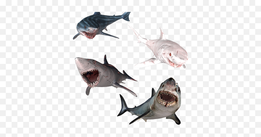 Great White Shark Clipart Mako Shark - White Tiger Shark Baby Emoji,Shark Emoticon Depth