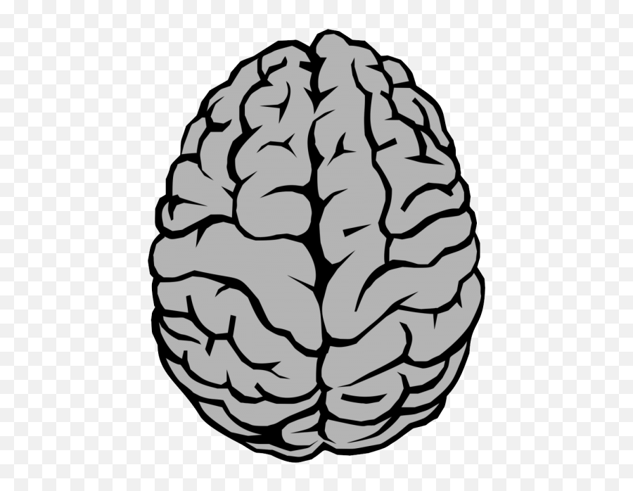 Flat Brain High Resolution Png Transparent Images Emoji,Brain In Emoji