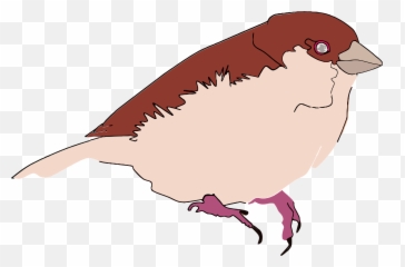 Perching Bird Clipart - Finches Emoji,Cockatiel Emoji