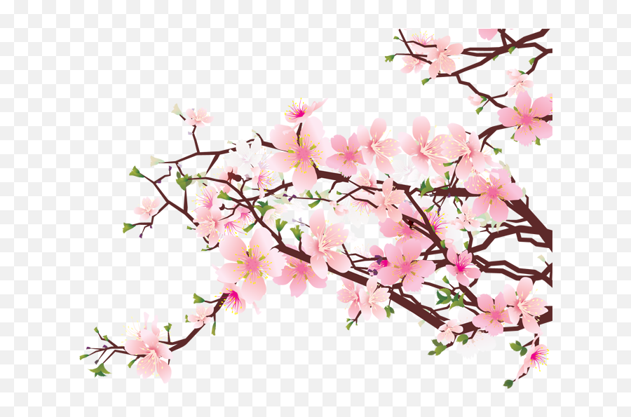 Cherry Blossom Flowers Emoji - Transparent Background Cherry Blossom Clipart,Cherry Blossom Emoji