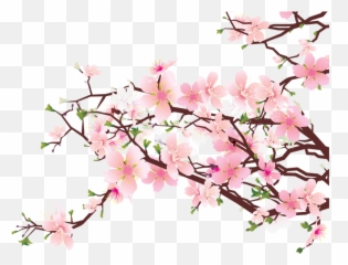 Cherry Blossom Flowers Emoji - Transparent Background Cherry Blossom Clipart,Cherry Blossom Emoji
