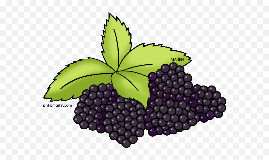 Blackberries Clipart - Clip Art Library Kentucky State Fruit Emoji,Blackberry Christmas Emoticons