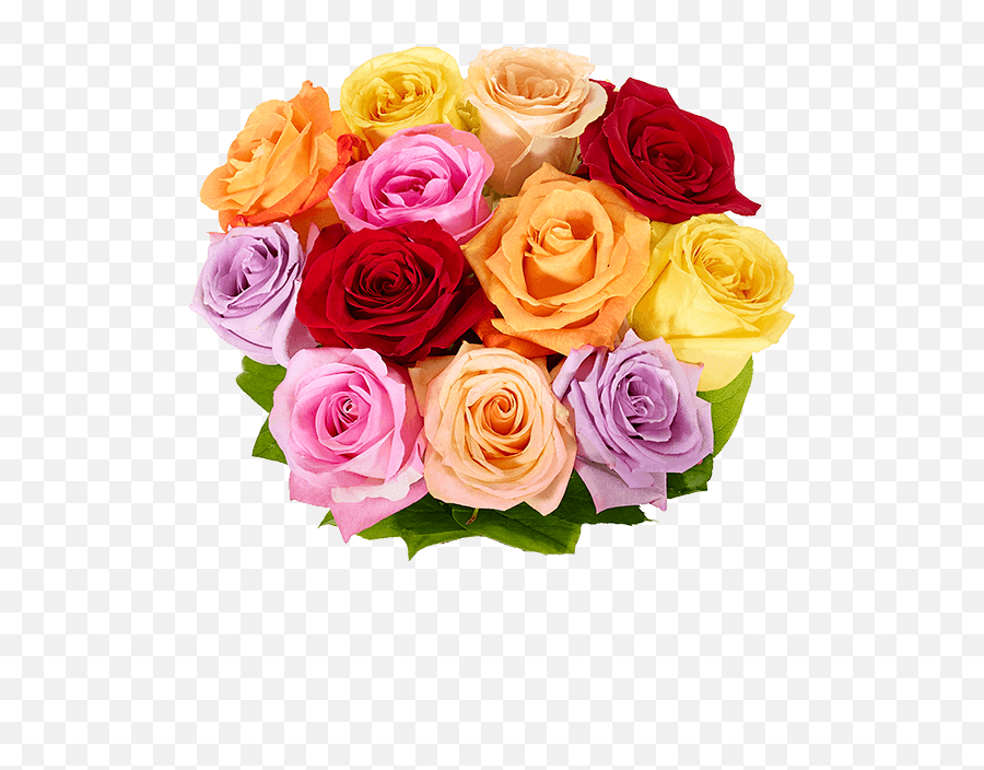 One Dozen Birthday Rainbow Roses At From You Flowers - Floral Emoji,Flower Bouquet Emoji