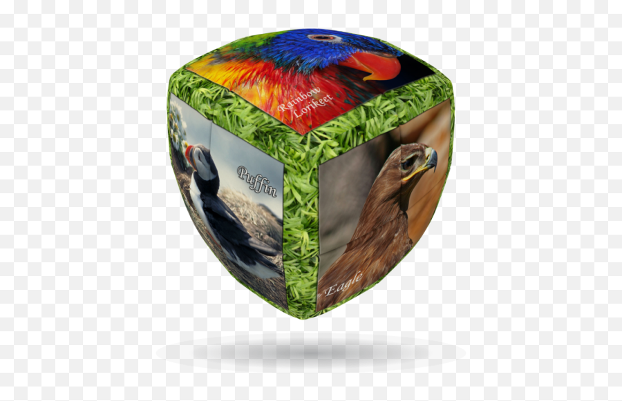 Wildlife U0026 Nature - Vcube Wholesale Distributor Orbet V Cube Emoji,Emotions Falcon