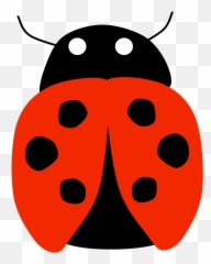 Free Clipart - 1001freedownloadscom Transparent Background Ladybug Clipart Emoji,Insect Animated Emoticon