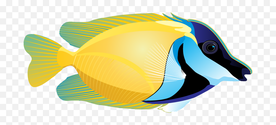 Download Hd Marine Fish Clipart Face - Fish On White Background Emoji,Tropical Fish Emoji