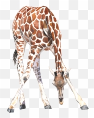 The Most Edited Emoji,Jirafe Emojis Png